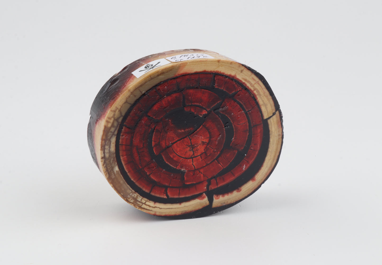 Stabilised mammoth ivory block