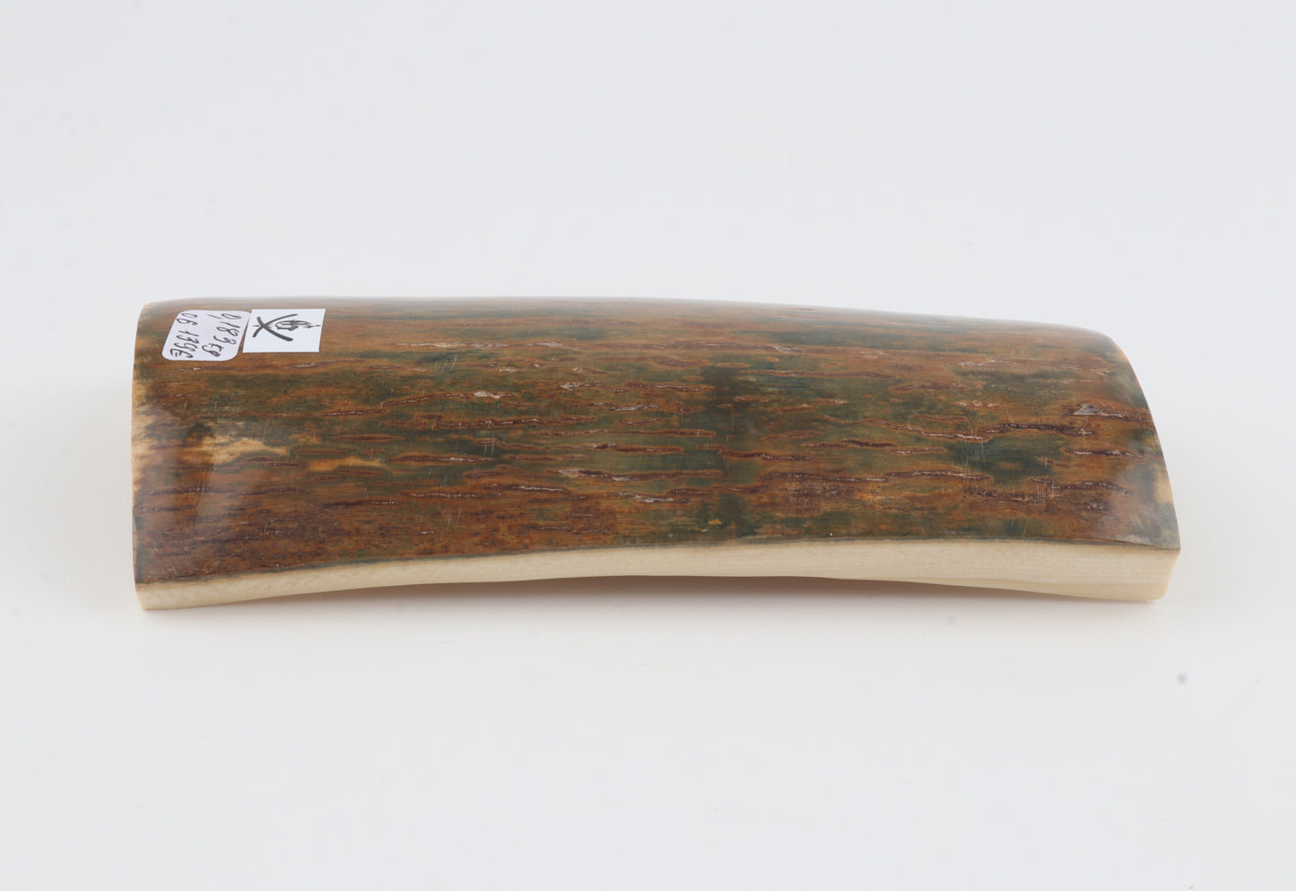 Green-caramel mammoth bark