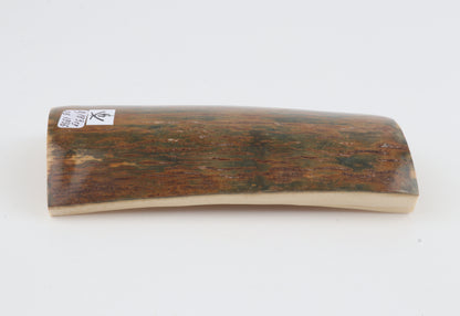 Green-caramel mammoth bark