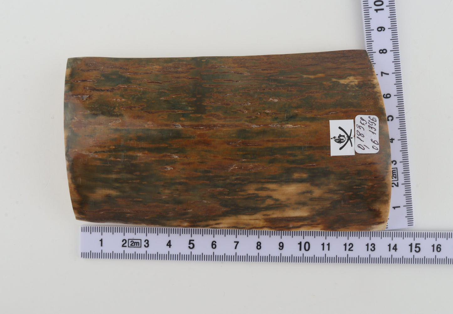 Green-caramel mammoth bark