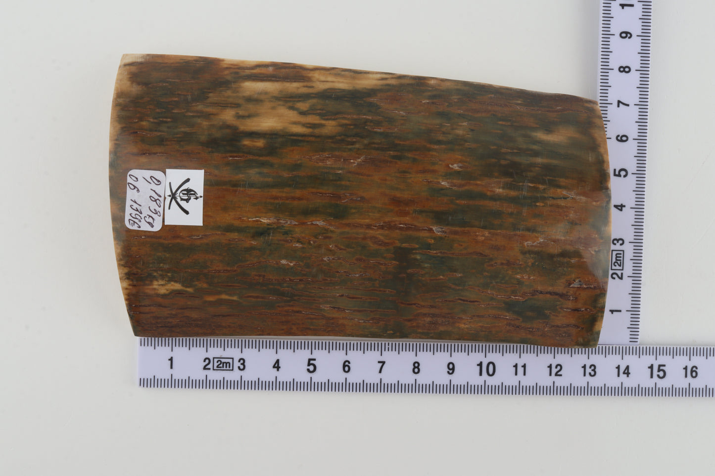 Green-caramel mammoth bark