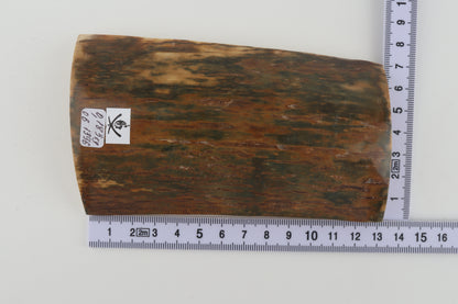 Green-caramel mammoth bark