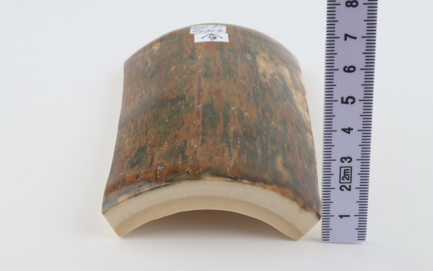 Green-caramel mammoth bark