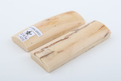 Stabilized mammoth bark scales