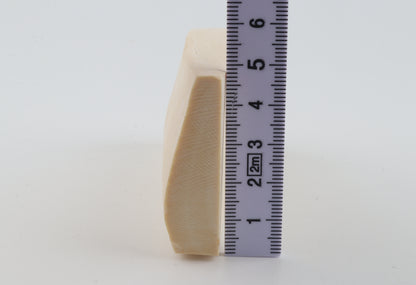 White mammoth ivory segment