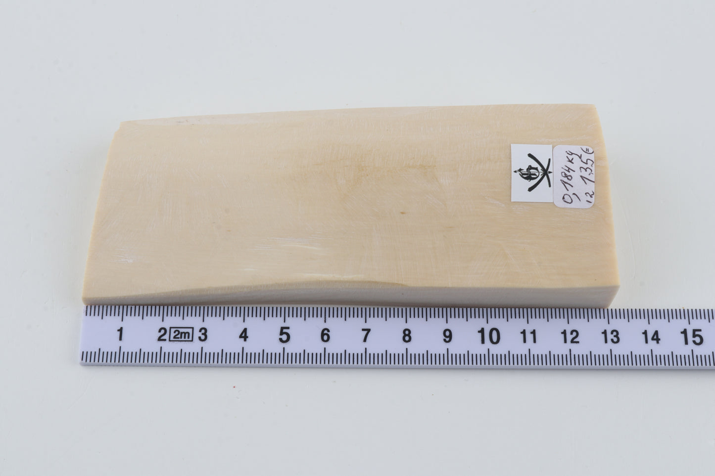 White mammoth ivory segment