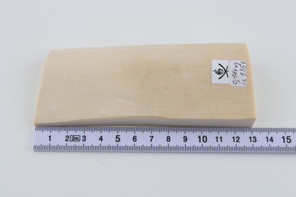 White mammoth ivory segment