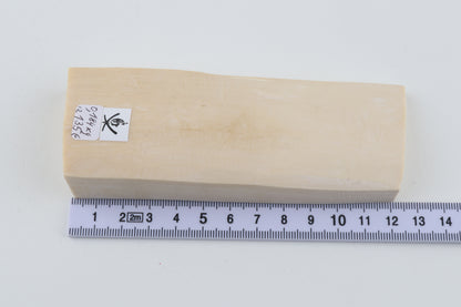 White mammoth ivory segment