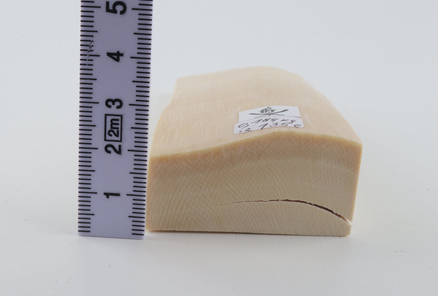 White mammoth ivory segment