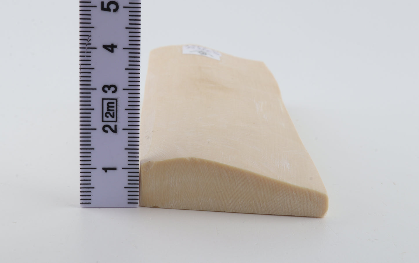 White mammoth ivory segment