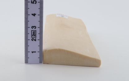White mammoth ivory segment