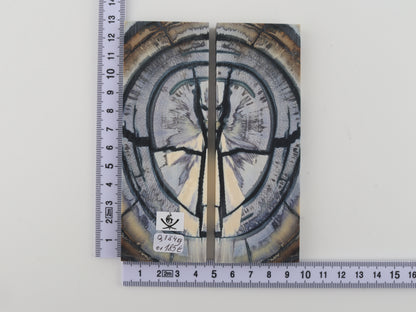 Stabilized mammoth ivory scales