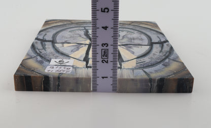 Stabilized mammoth ivory scales