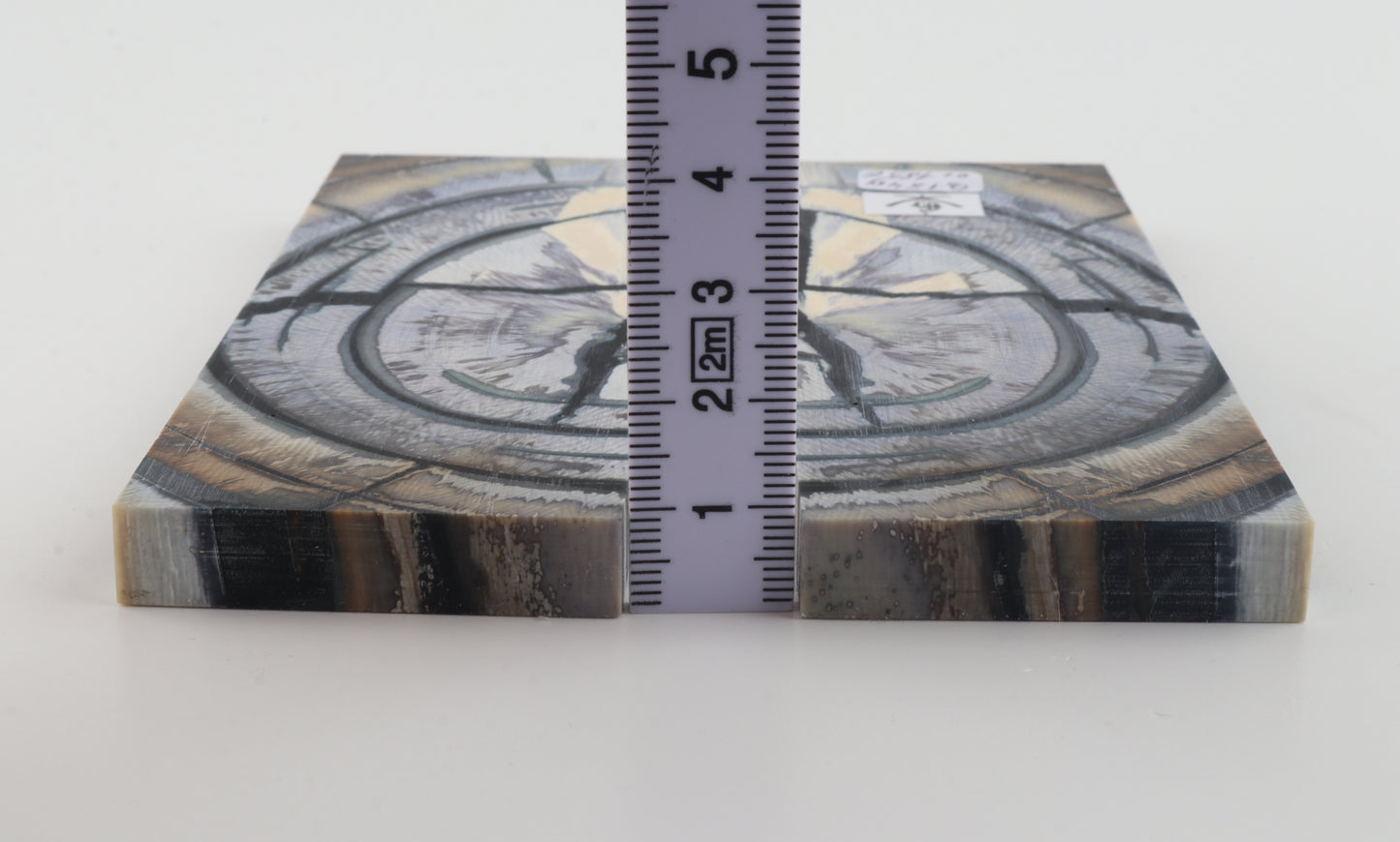 Stabilized mammoth ivory scales