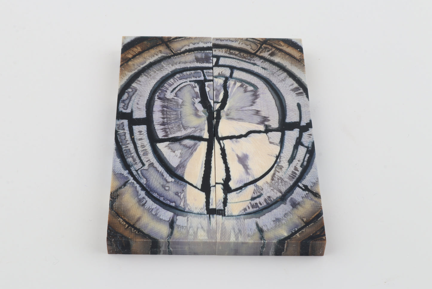 Stabilized mammoth ivory scales