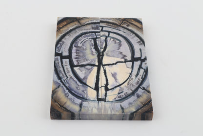 Stabilized mammoth ivory scales