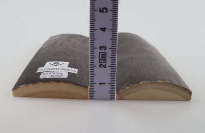 Stabilized mammoth bark scales