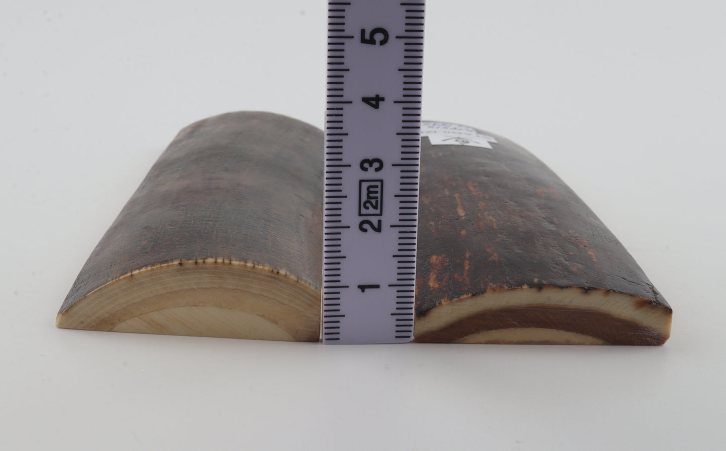 Stabilized mammoth bark scales