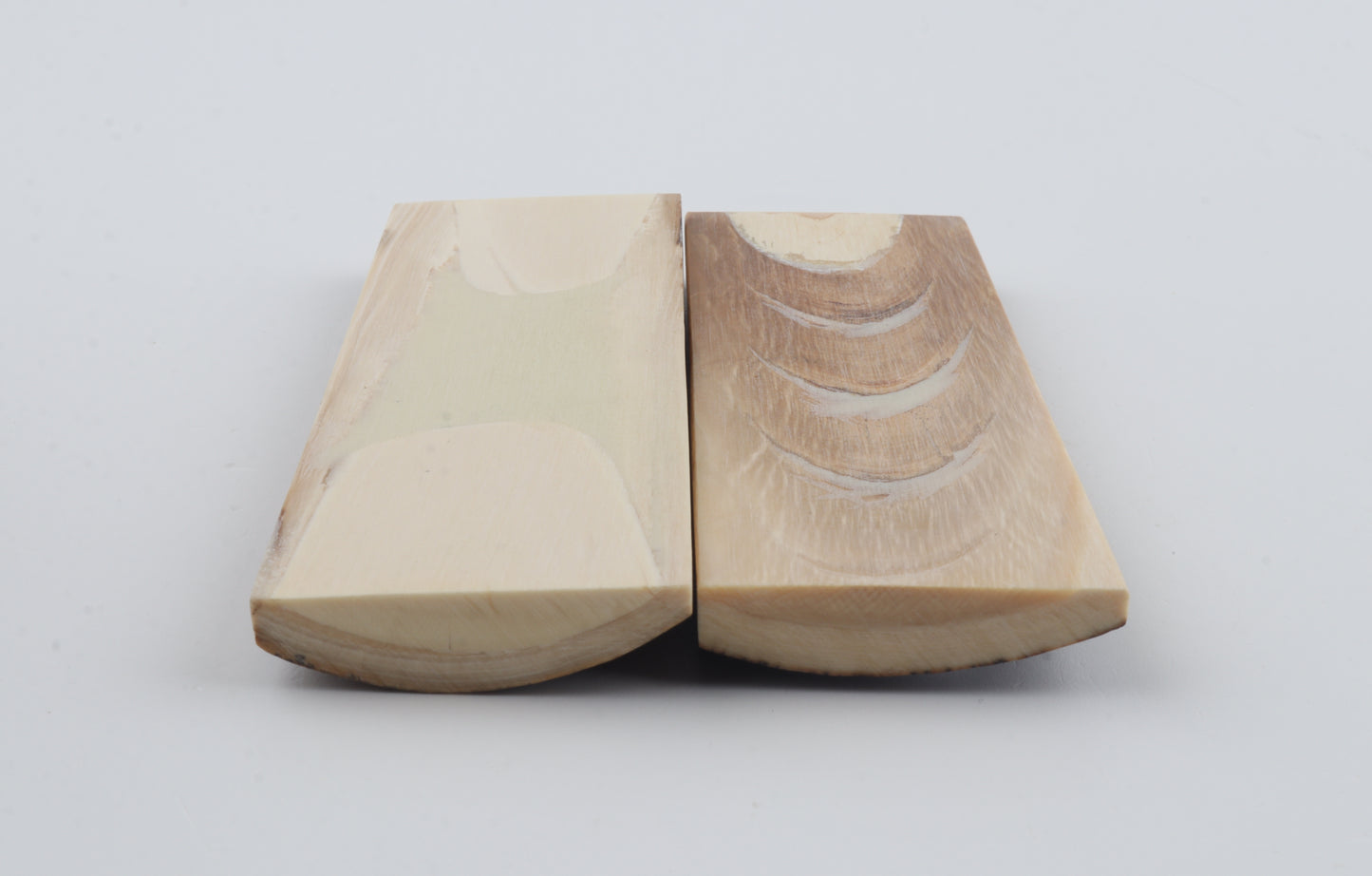 Stabilized mammoth bark scales
