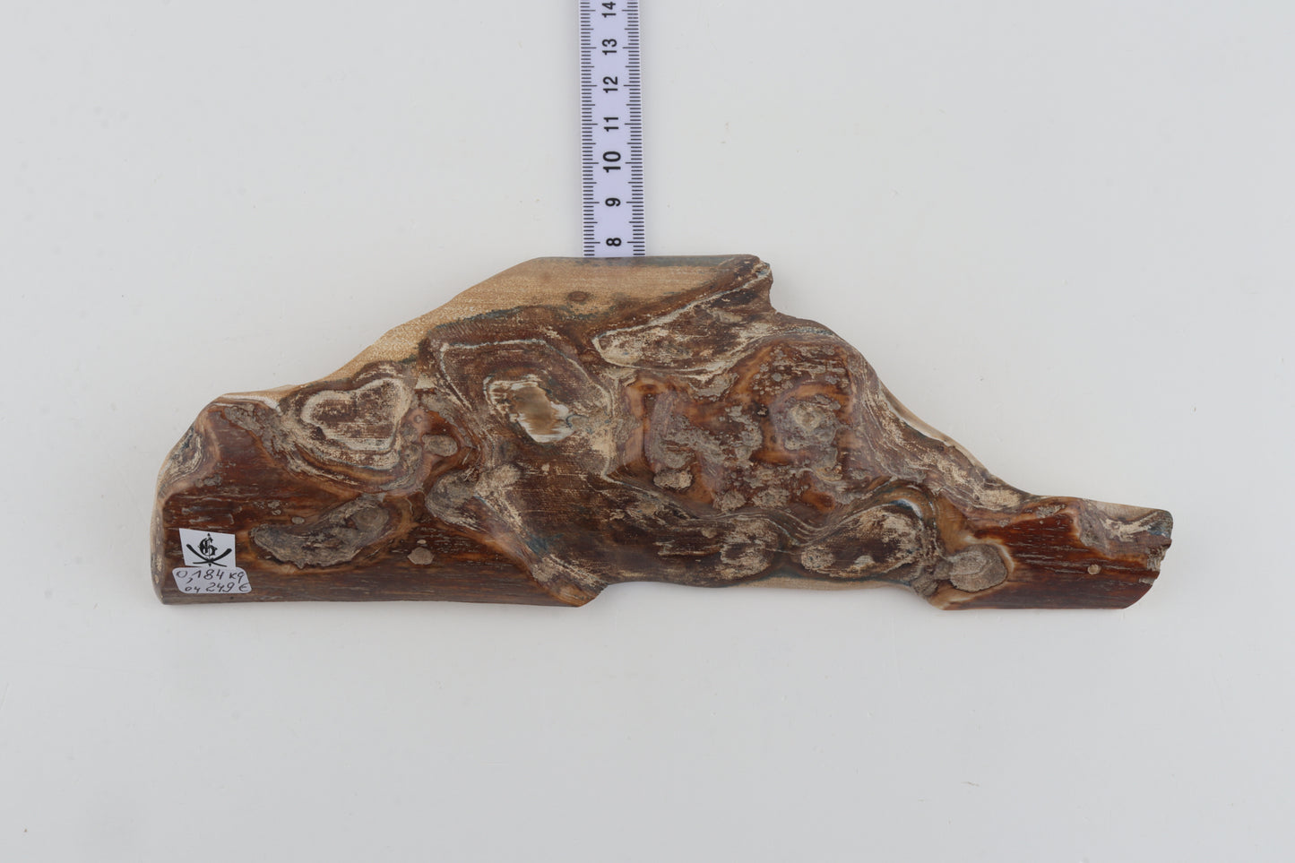 Unique mammoth bark piece