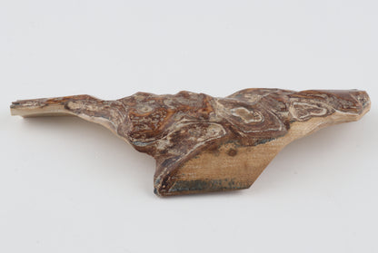 Unique mammoth bark piece