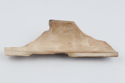 Unique mammoth bark piece