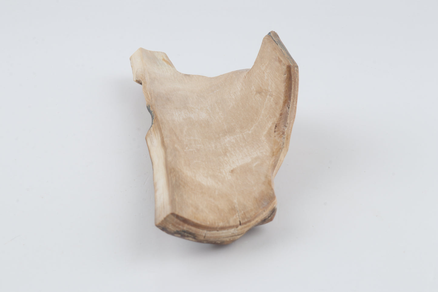 Unique mammoth bark piece