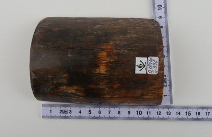 Brown mammoth bark