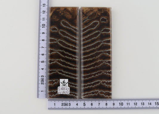 Stabilized mammoth molar scales