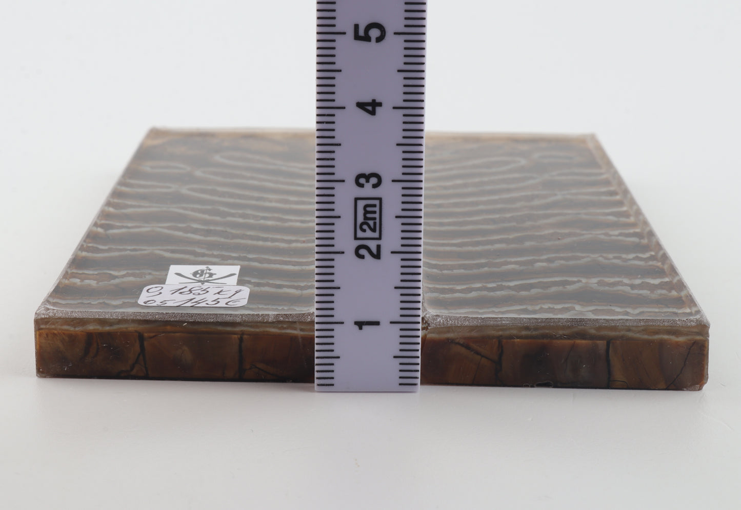 Stabilized mammoth molar scales