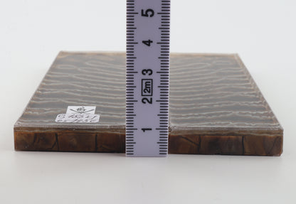 Stabilized mammoth molar scales