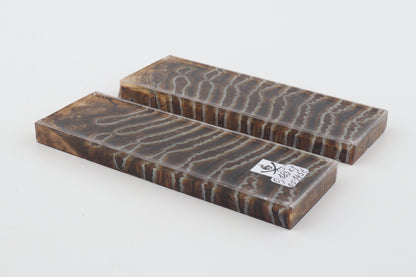 Stabilized mammoth molar scales