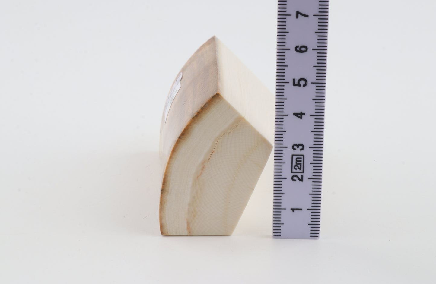Natural mammoth ivory piece