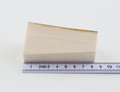 Natural mammoth ivory piece