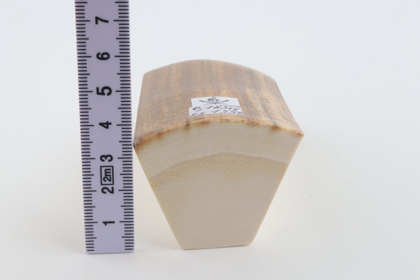 Natural mammoth ivory piece