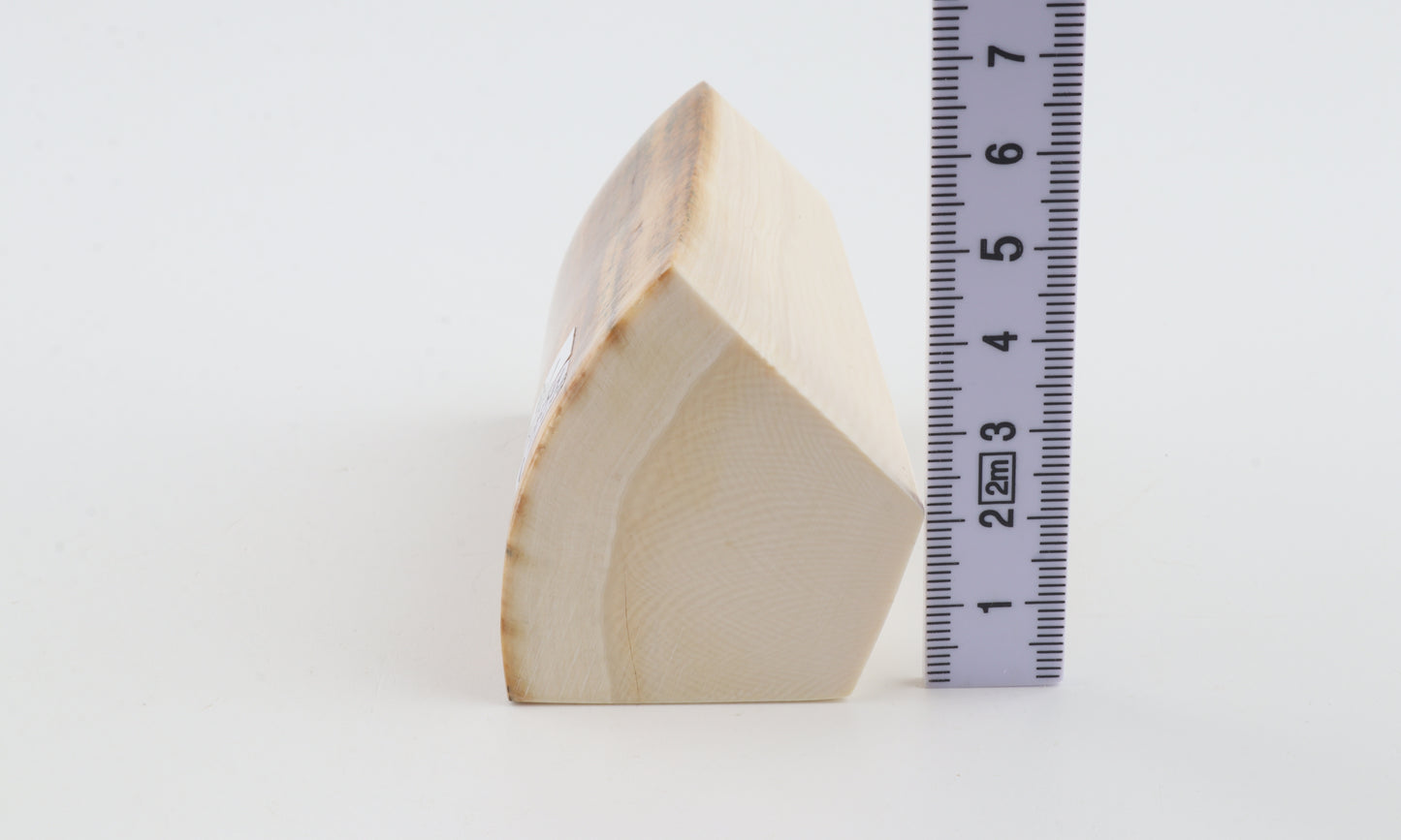Natural mammoth ivory piece