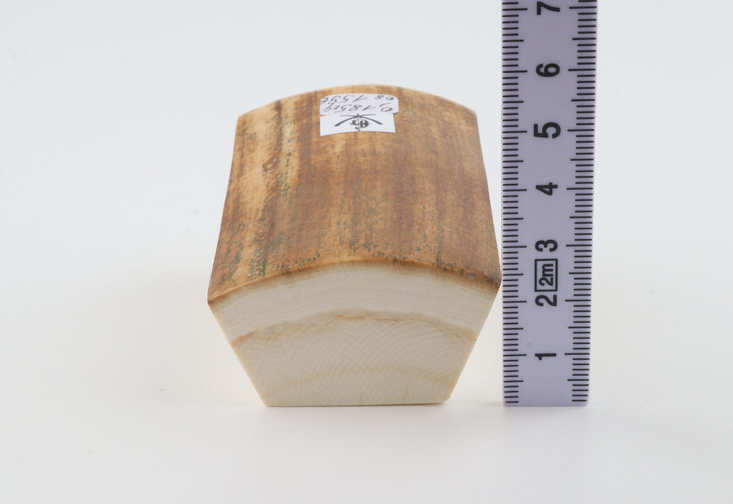 Natural mammoth ivory piece