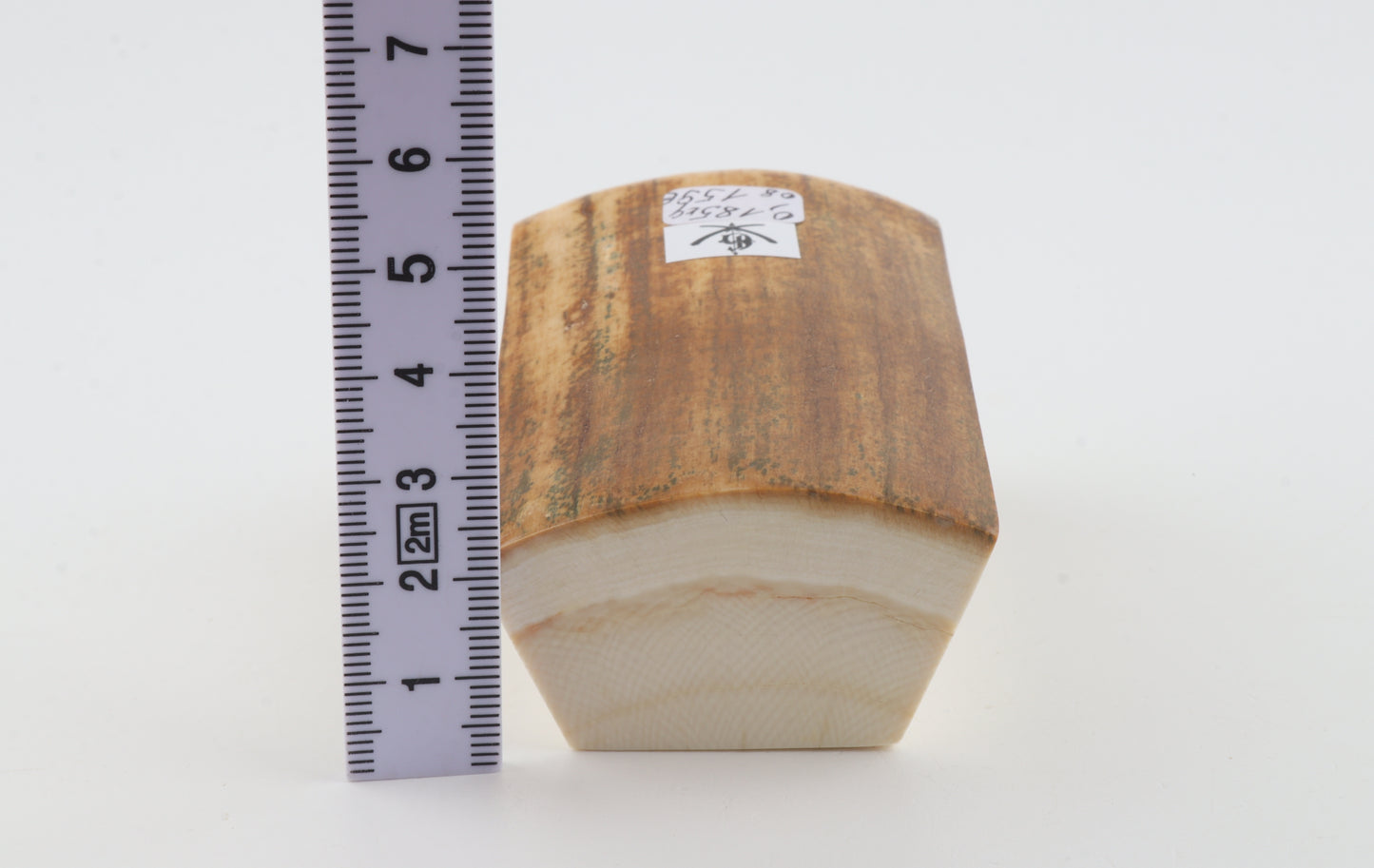 Natural mammoth ivory piece