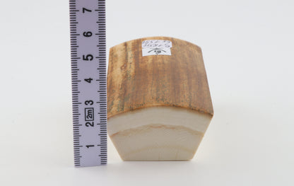 Natural mammoth ivory piece