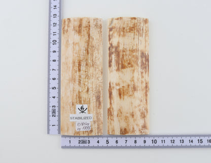 Stabilized mammoth bark scales