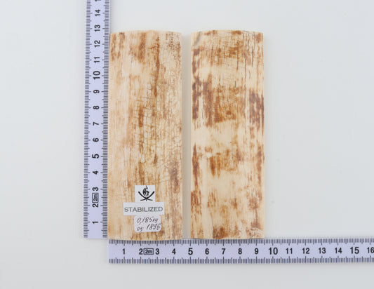 Stabilized mammoth bark scales