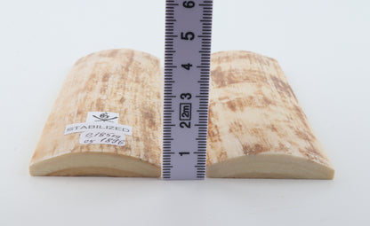 Stabilized mammoth bark scales