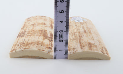 Stabilized mammoth bark scales