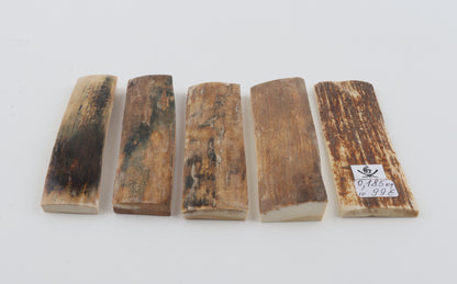 Natural mammoth bark pieces