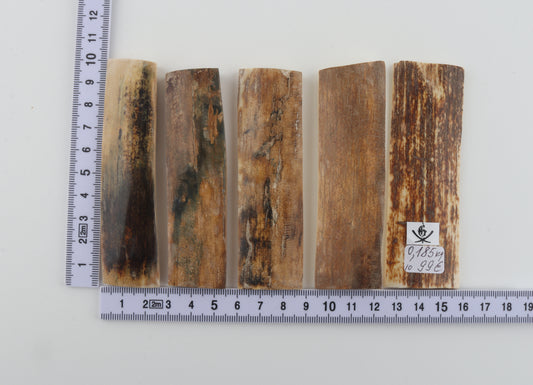 Natural mammoth bark pieces