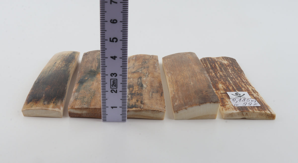 Natural mammoth bark pieces