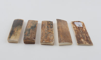 Natural mammoth bark pieces