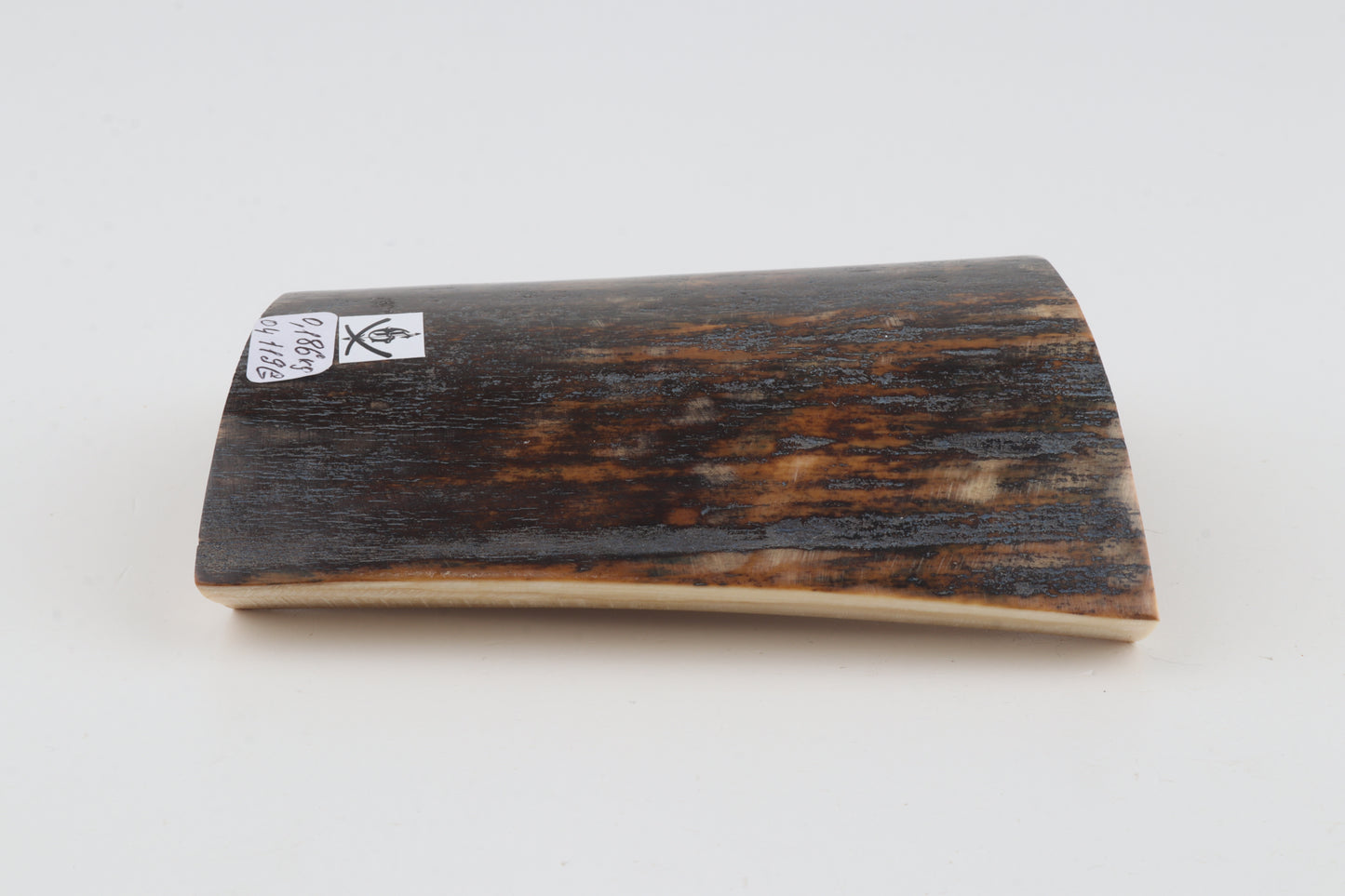 Brown-blue mammoth bark