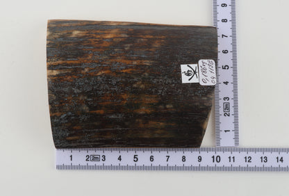 Brown-blue mammoth bark