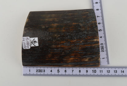 Brown-blue mammoth bark